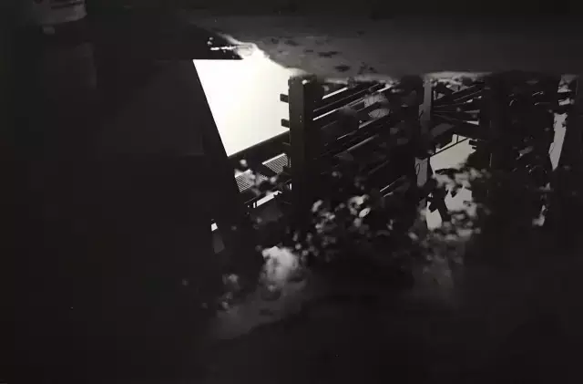 胡歌:我拍照就是为了泡妞!看看他拍的照片怎么样