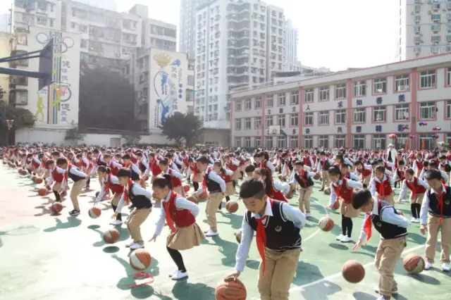 龙溪小学作为渝北区的窗口学校,历来重视素质教育,连续多年获得渝北