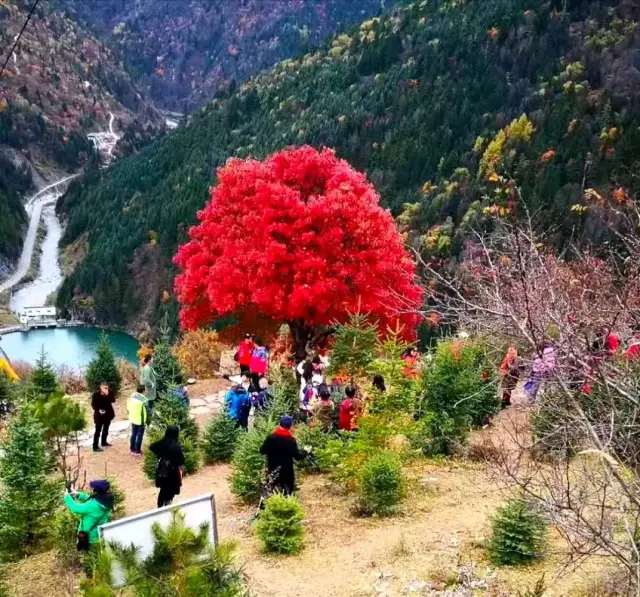 自驾路线 成都市 — 都江堰 — 映秀 —汶川 — 茂县 — 黑水县—