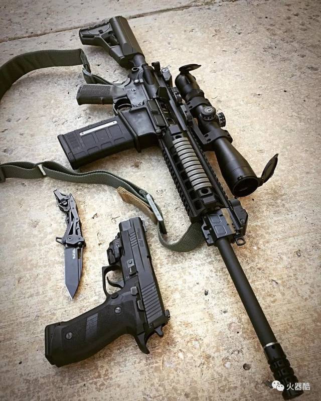 【long range】西格绍尔sig 716步枪图集