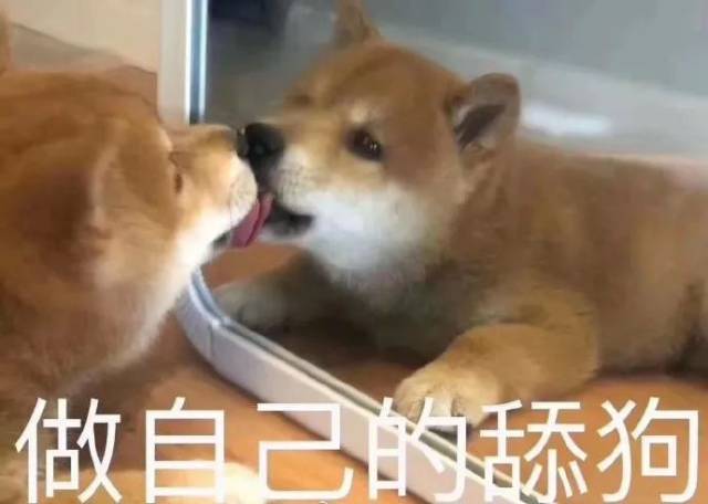 这年头说你是舔狗,其实是在夸你