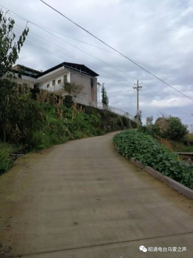 扶贫故事(84)--水富县向家坝镇大池村委会主任毛华应扶贫攻坚事迹