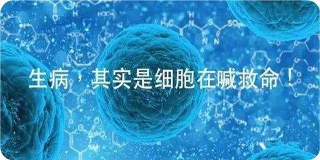 张大春健康观念治疗实战班:【必看】让每个家庭都有一个懂健康观念的