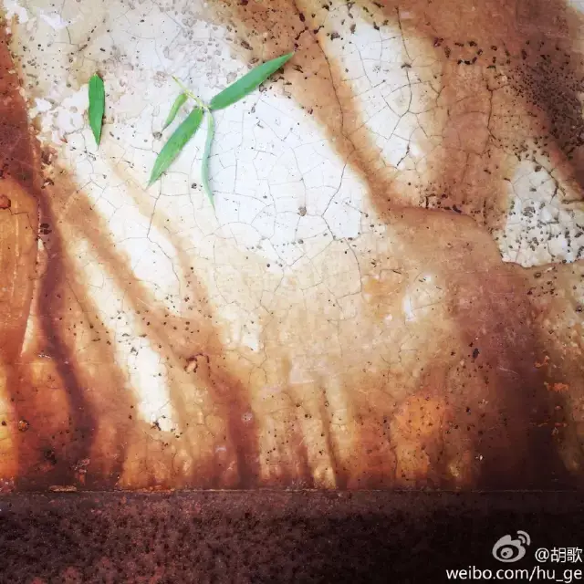 胡歌:我拍照就是为了泡妞!看看他拍的照片怎么样