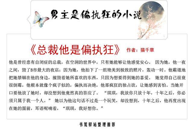 男主是偏执狂的宠文,十年之后,无论如何,你必须只属于我一个人