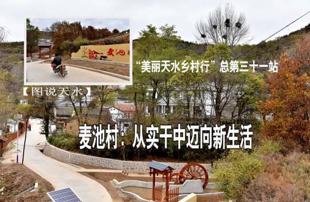 全国文明乡镇清水县秦亭镇麦池村贫困发生率偏高,属深度贫困村.