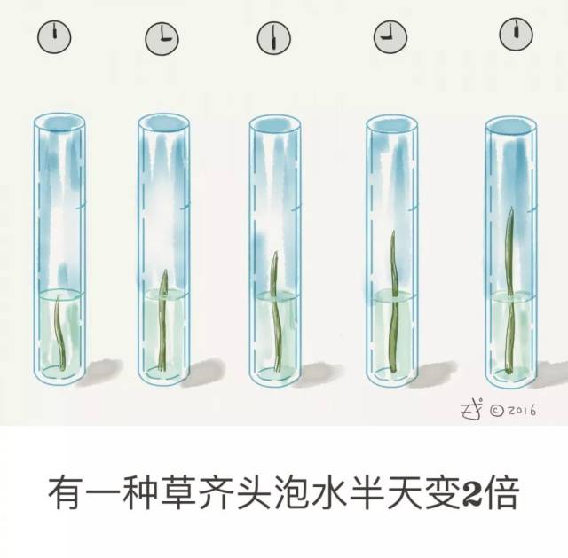 自然底数e的美学