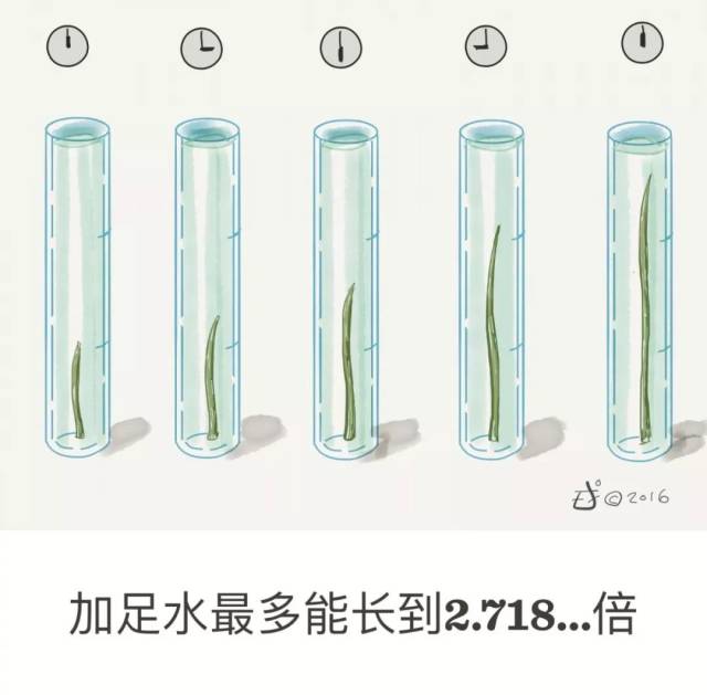 自然底数e的美学