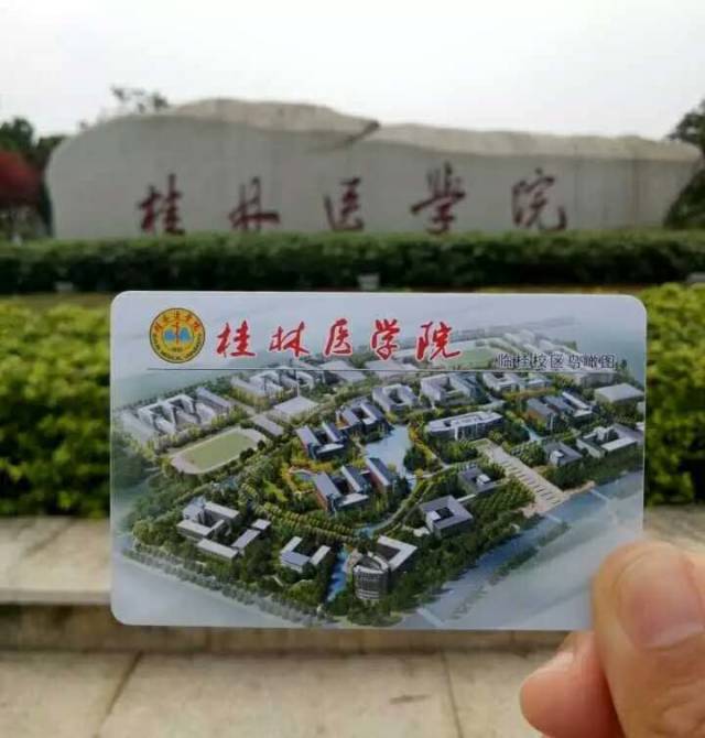 被誉为"闪耀桂北的医学明珠" 学校包括乐群,东城,临桂三个校区 校园