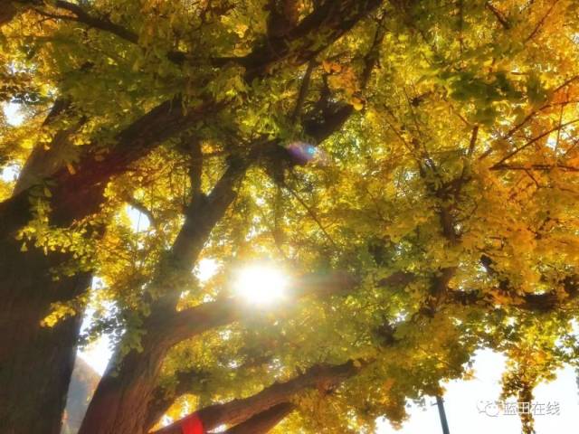 9345ff07b282412c9c5d11f739c470b2.jpeg