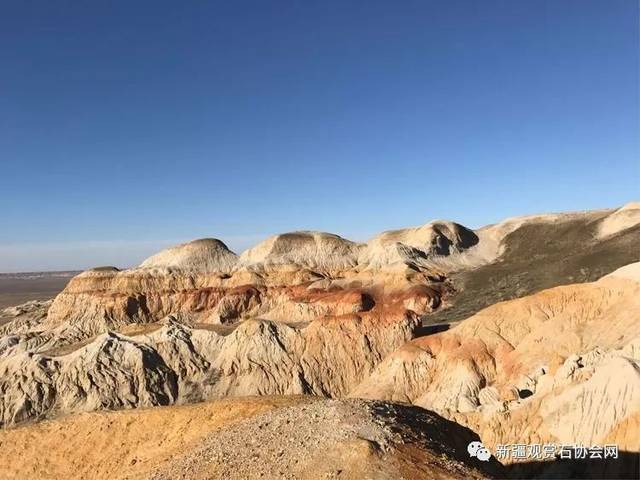 新疆阿勒泰北屯,杜热地区戈壁滩寻宝金丝玉,宝石光