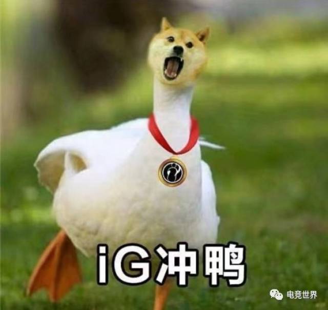 表情包直播ig夺冠:王校长毒奶色一齐发功 fnc喜夺亚军