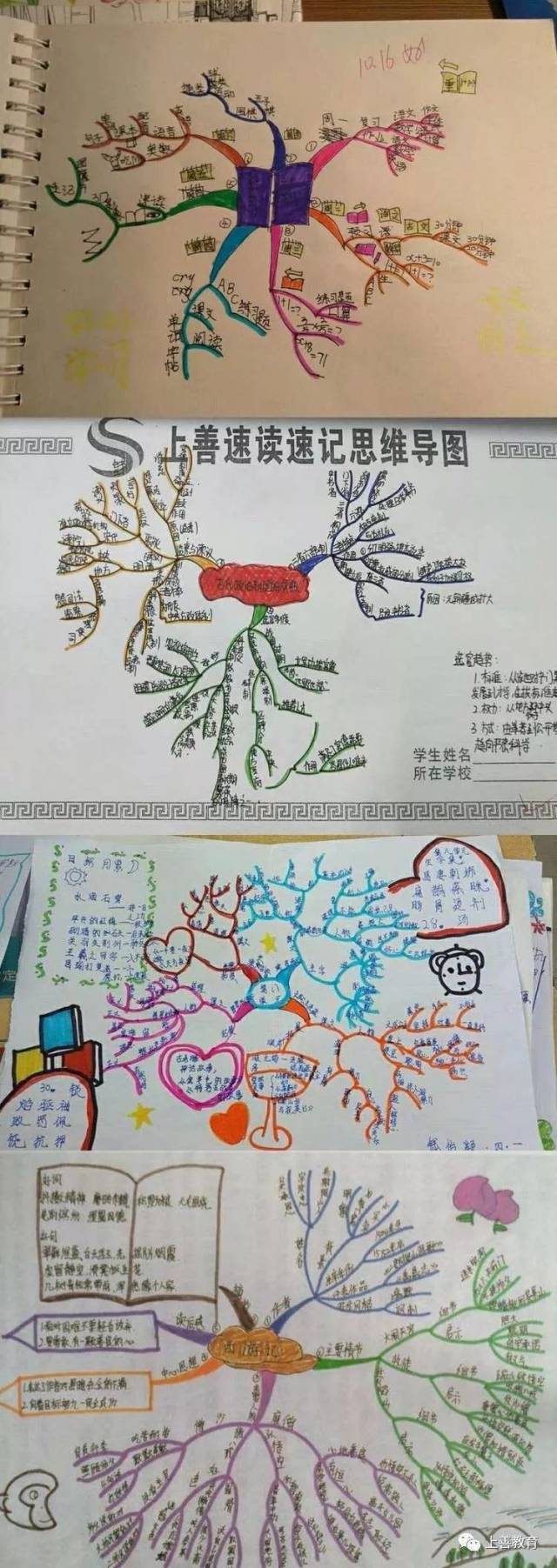 上善教育思维导图走进外国语小学!