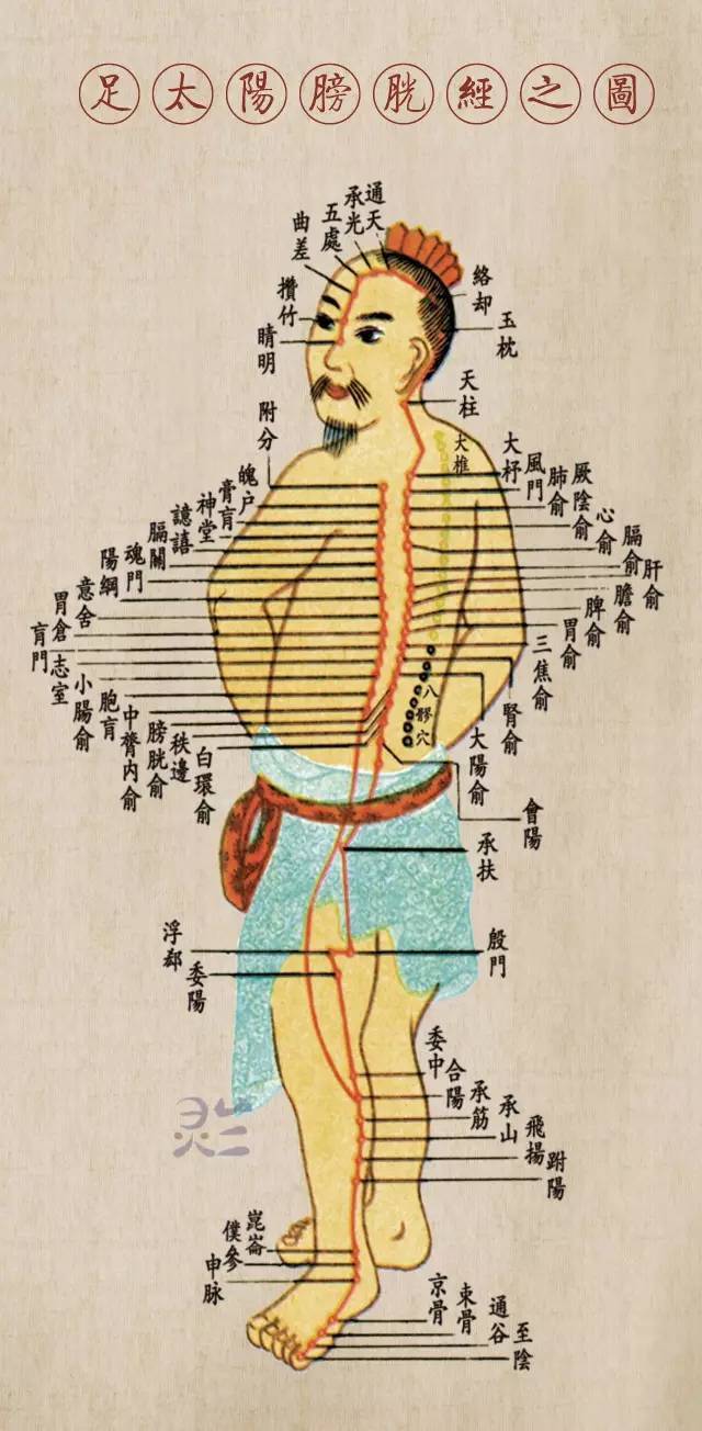 茅亭(足太阳膀胱经)