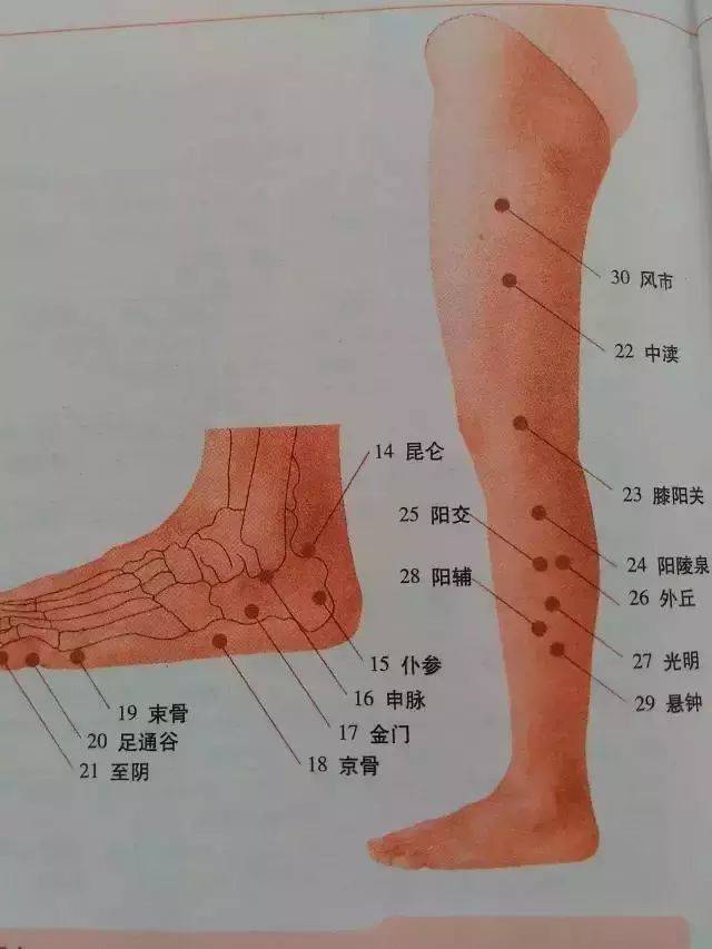 上肢穴位:内关穴,外关穴,曲池穴,尺泽穴,治痒穴,孔最穴,列缺穴