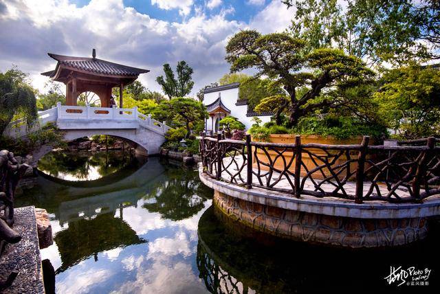 国内最大的盆景园,江南园林风格,上海这座海派盆景园美不胜收