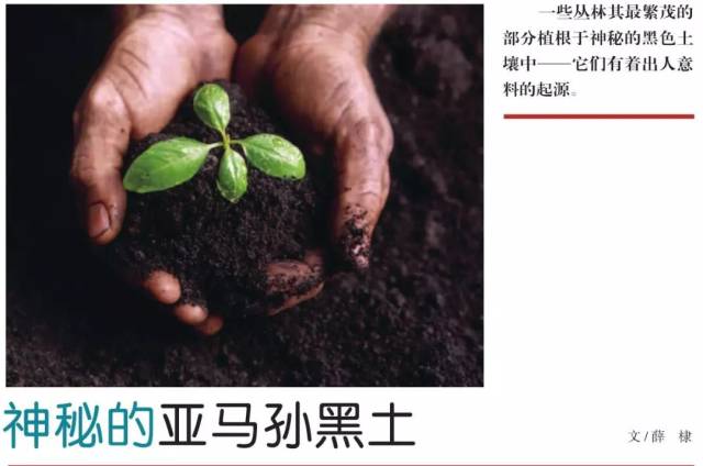 神秘的亚马孙黑土