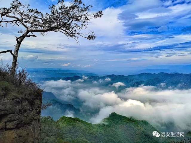 远安县最高峰太平顶,出名啦!