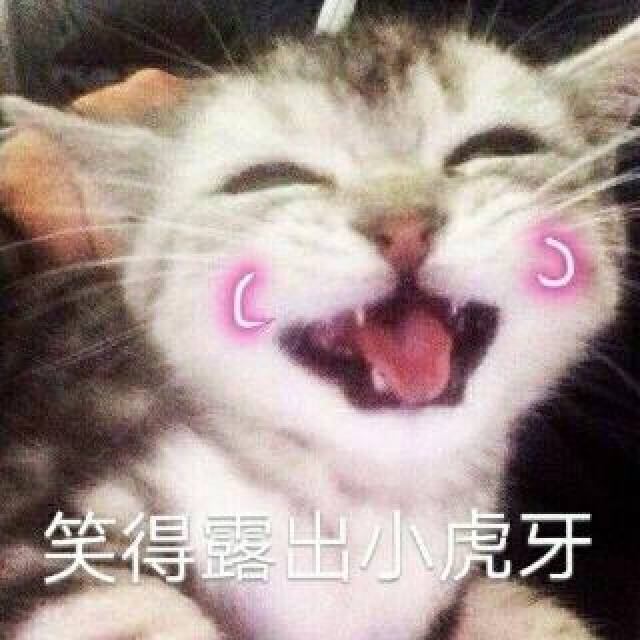 超萌撩男朋友的表情包