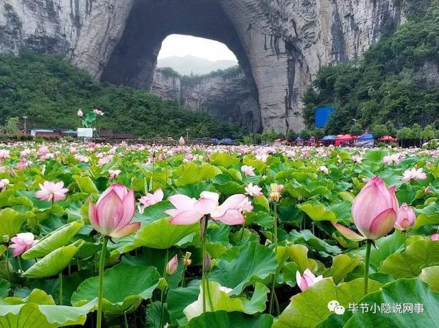 毕节市大方清虚洞旅游景区