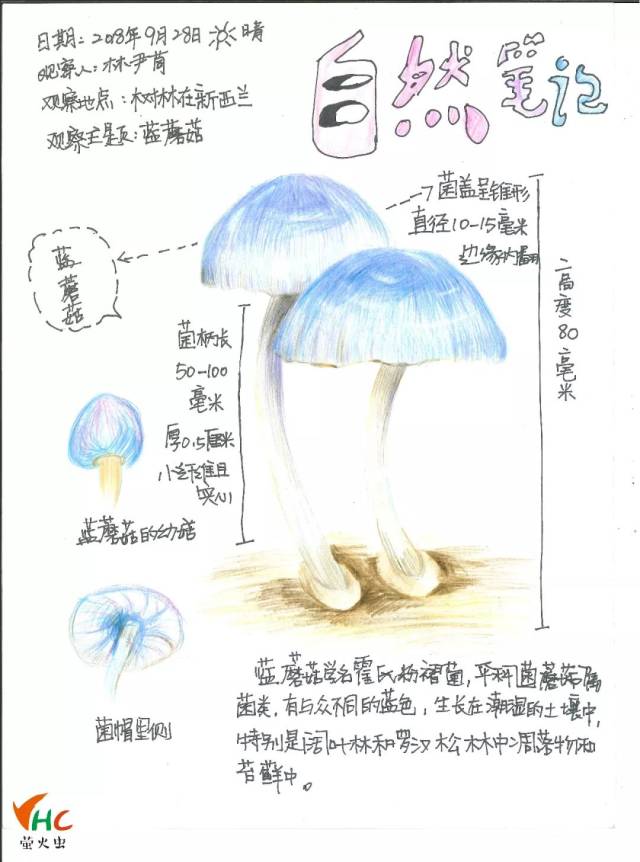 自然笔记获奖名单公布 yhc花溪初赛场圆满结束啦!