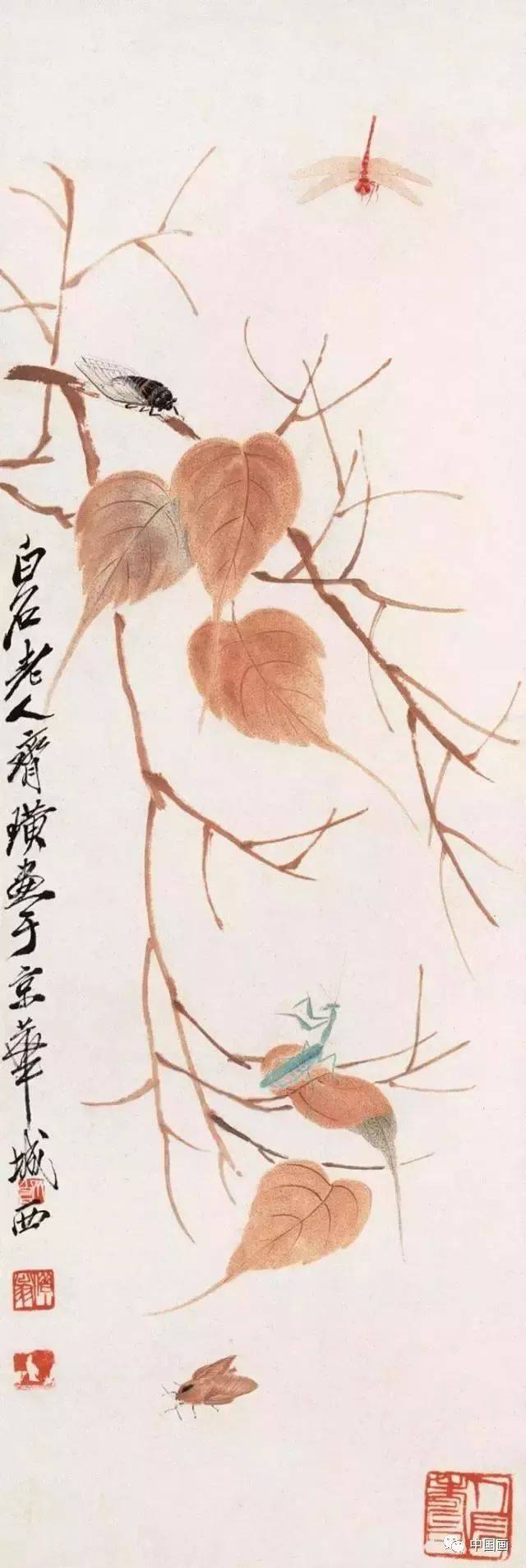 详细图解蝉的画法