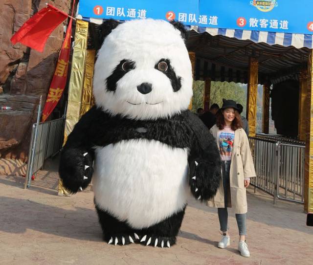 五龙山巨型"熊猫",你合影了吗?