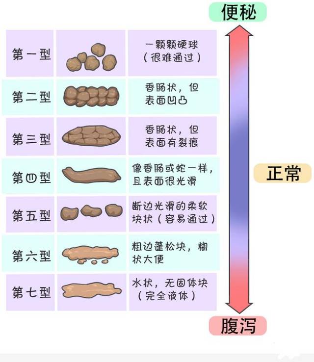 可能是胆道阻塞,慢慢宝宝长大后,从形态上来说,按照布里斯托大便分类