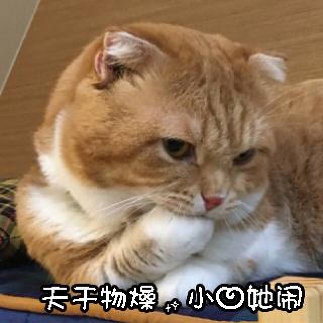 超萌撩男朋友的表情包_手机搜狐网