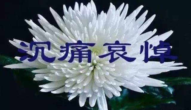 沉痛悼念中国碘缺乏病研究开拓者马泰教授!