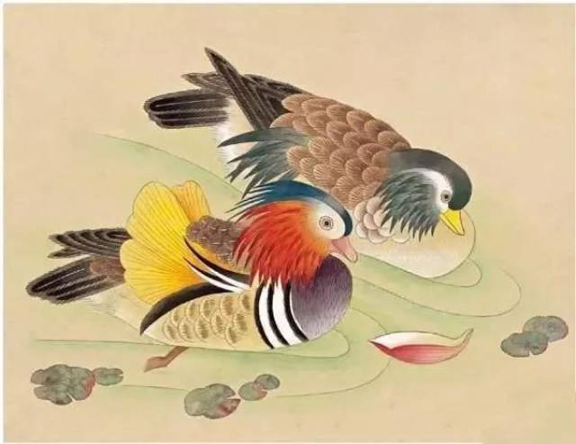 工笔画鸳鸯画法,一学就会!