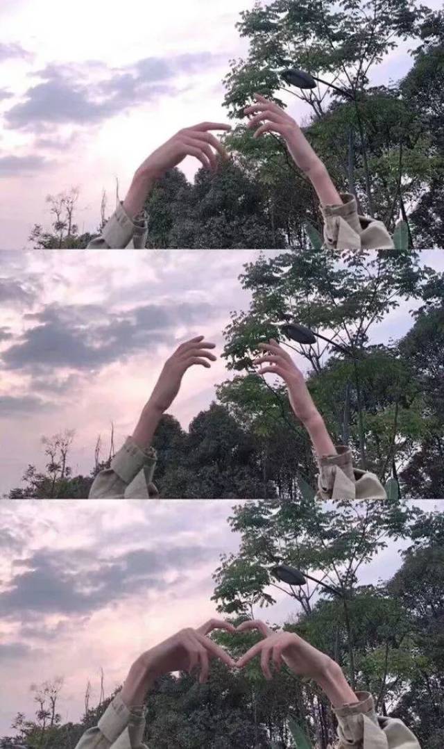 ƴӱֽ