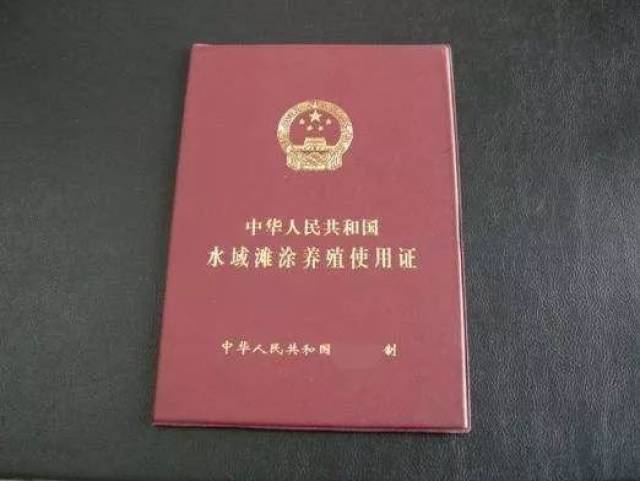 全国打击非法水产养殖力度将更严厉大多数养殖户却不懂要办水域滩涂