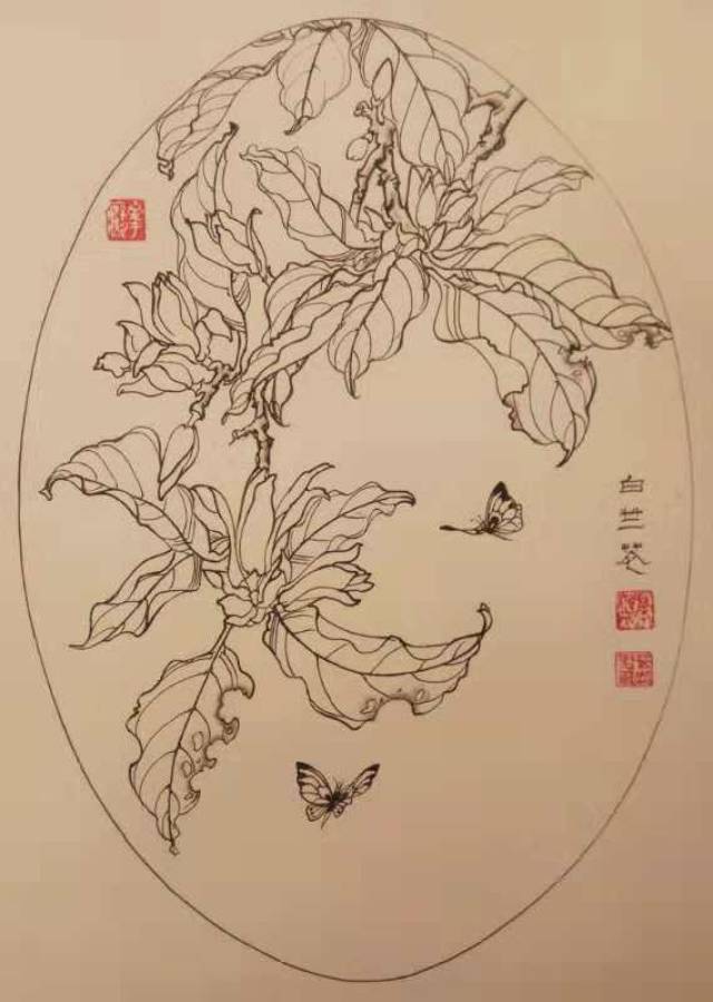 第七百三十九幅——白兰花(中性笔白描花卉习作)