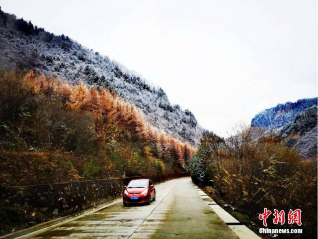 甘肃宕昌官鹅沟雪后景色缤纷如