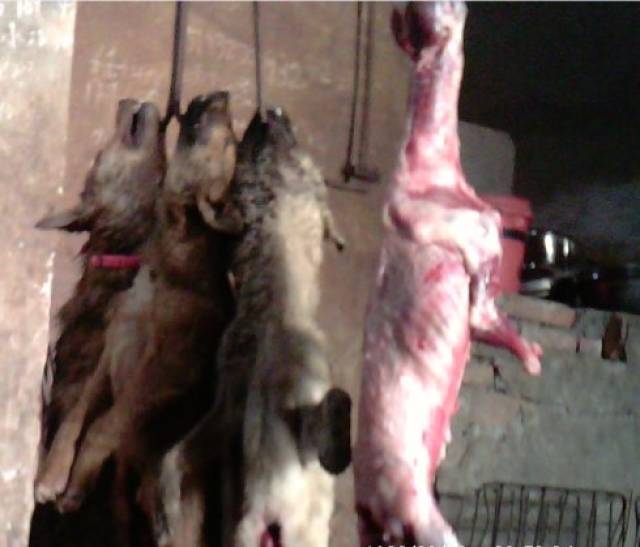 挂羊头卖狗肉:小心