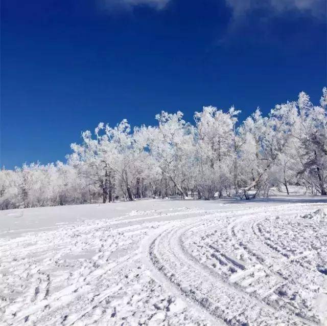 雪谷的景色最为迷人,还原了东北最原始的雪景,如同一幅美丽的画卷.