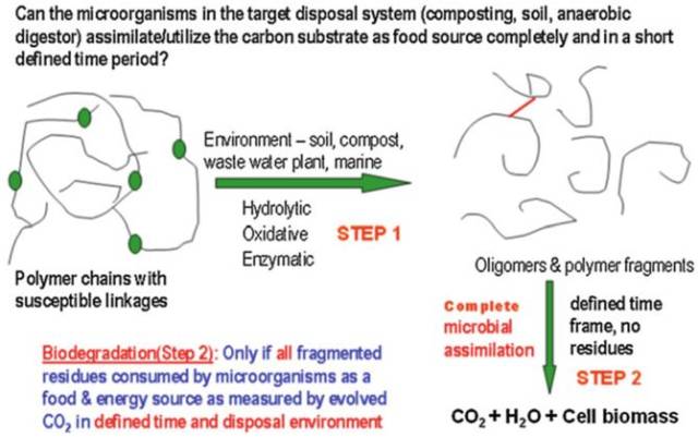 生物降解塑料的降解机理分析