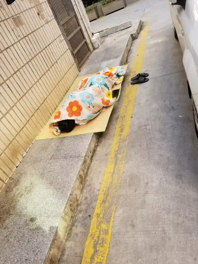 三和大神 | 在两千万人拼搏的深圳,日结生命