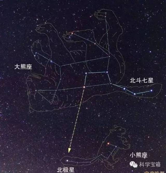 【科学故事】大熊星座和小熊星座的由来