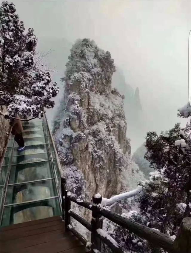 焦作的冬天还可以这样美