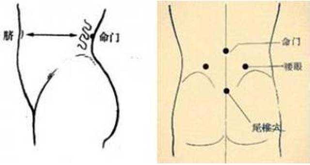 定位:前正中线上,肚脐下3寸(4横指).