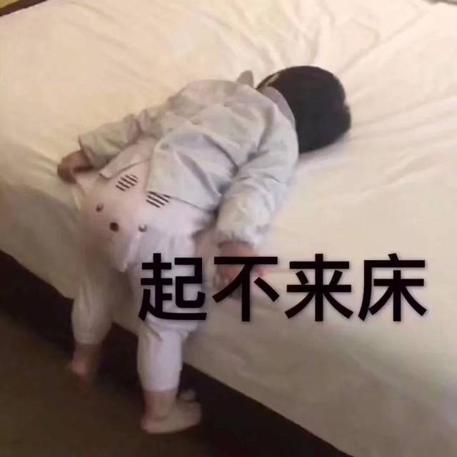 表情包 | 要抱抱才能开心!