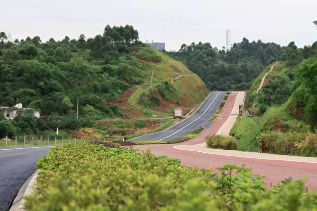 森林在城市中,城市在山水中 素有 "城市之肺" 美称的乐山绿心公园