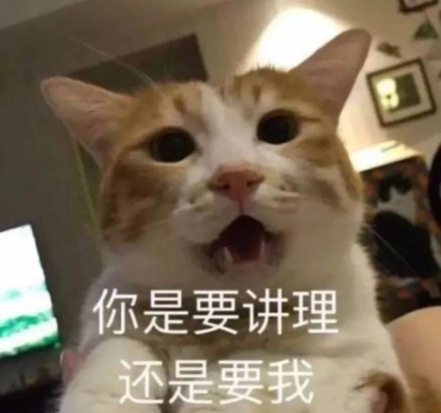 烦死啦,气呼呼,老白听了想领舞!