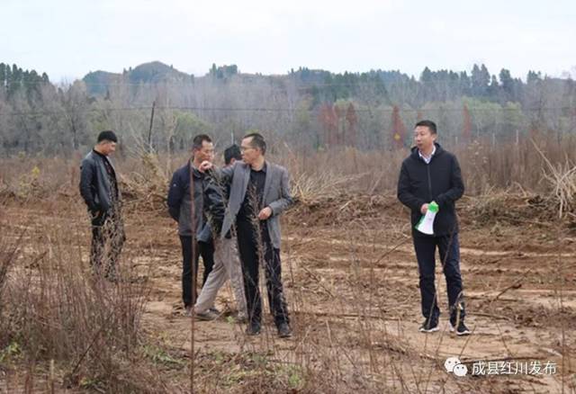 昨日,陇南成县红川镇对西成经济开发区红川园区项目用地进行强制征收