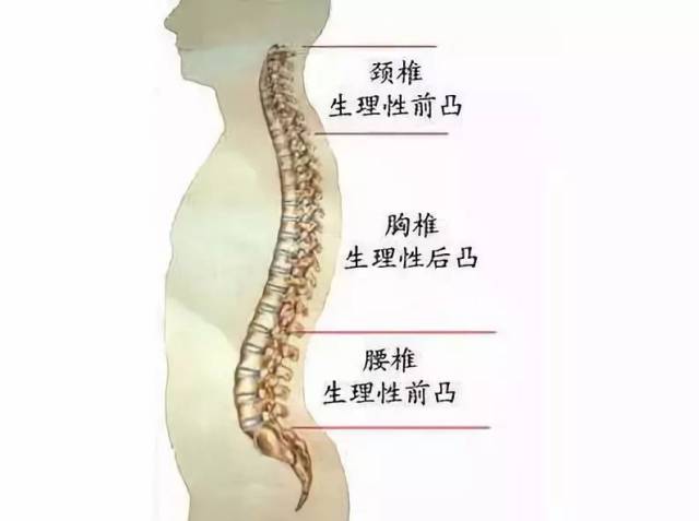 要不要手术?几分钟教你看懂腰椎的检查报告