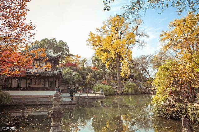 想去苏州旅游的,接下来枫叶红,银杏黄,这些景点更美!