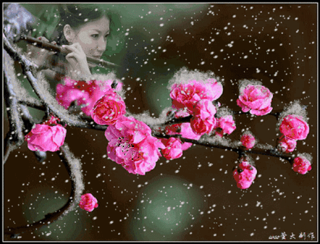 今日立冬,最美的立冬祝福,送给亲爱的群友们!