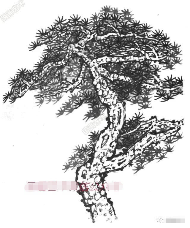 树木的画法步骤,教你怎么画树,几种不同树木的画法详解